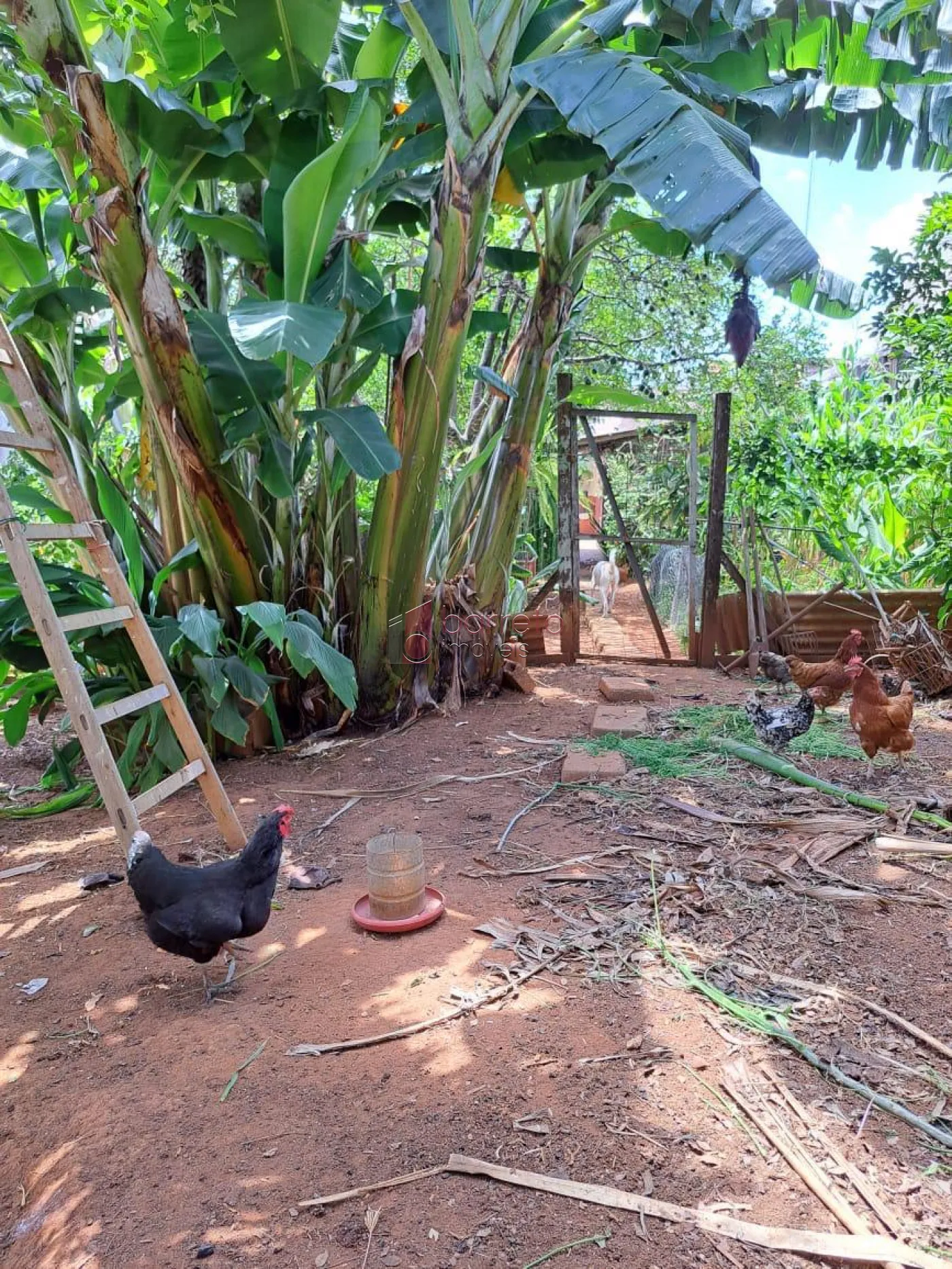 TERRENO PLANO À VENDA NA VILA PROGRESSO EM JUNDIAÍ/SP