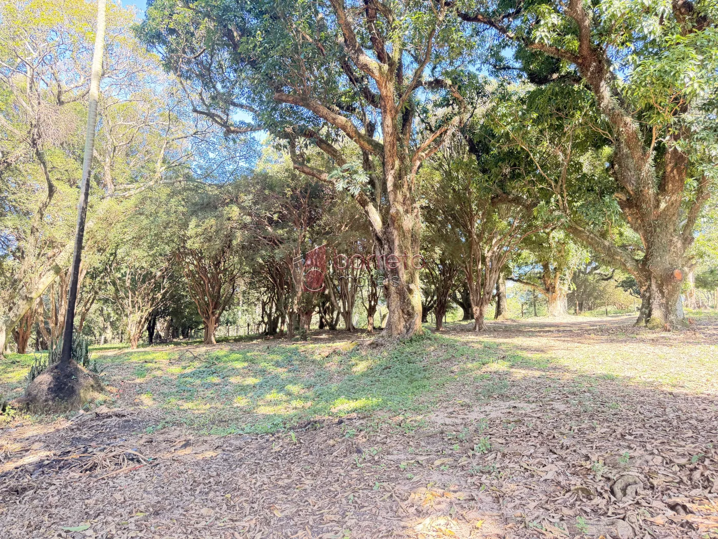 FAZENDA SANTA MARIA À VENDA – UMA PROPRIEDADE HISTÓRICA E ÚNICA ENTRE ITUPEVA E INDAIATUBA/SP