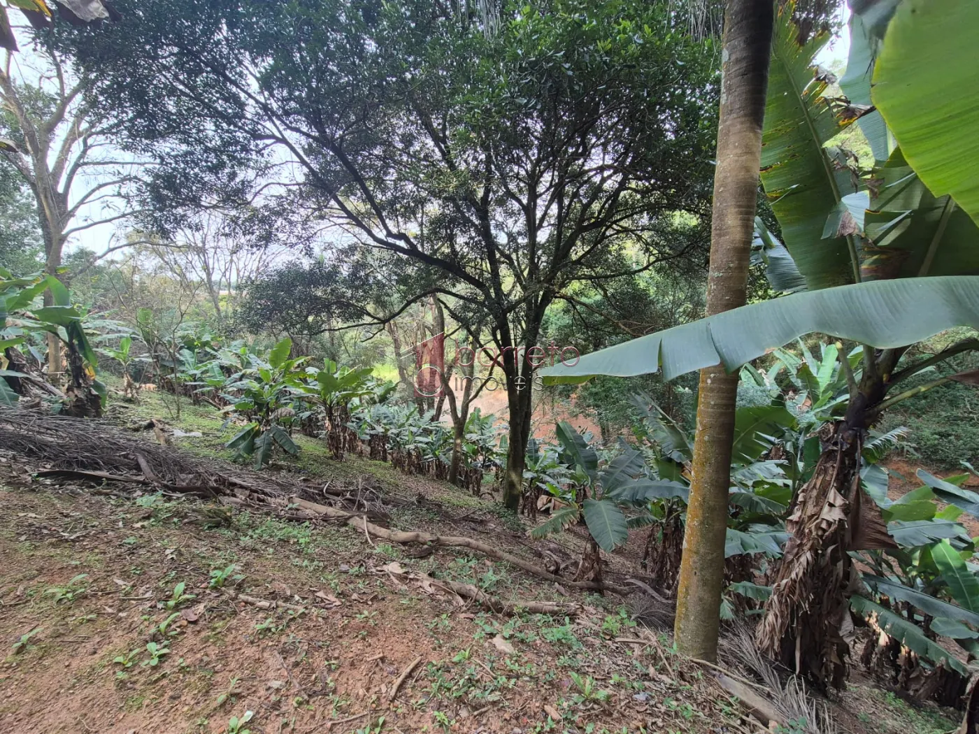 ÁREA RURAL PARA VENDA NO BAIRRO CAXAMBU – JUNDIAÍ/SP