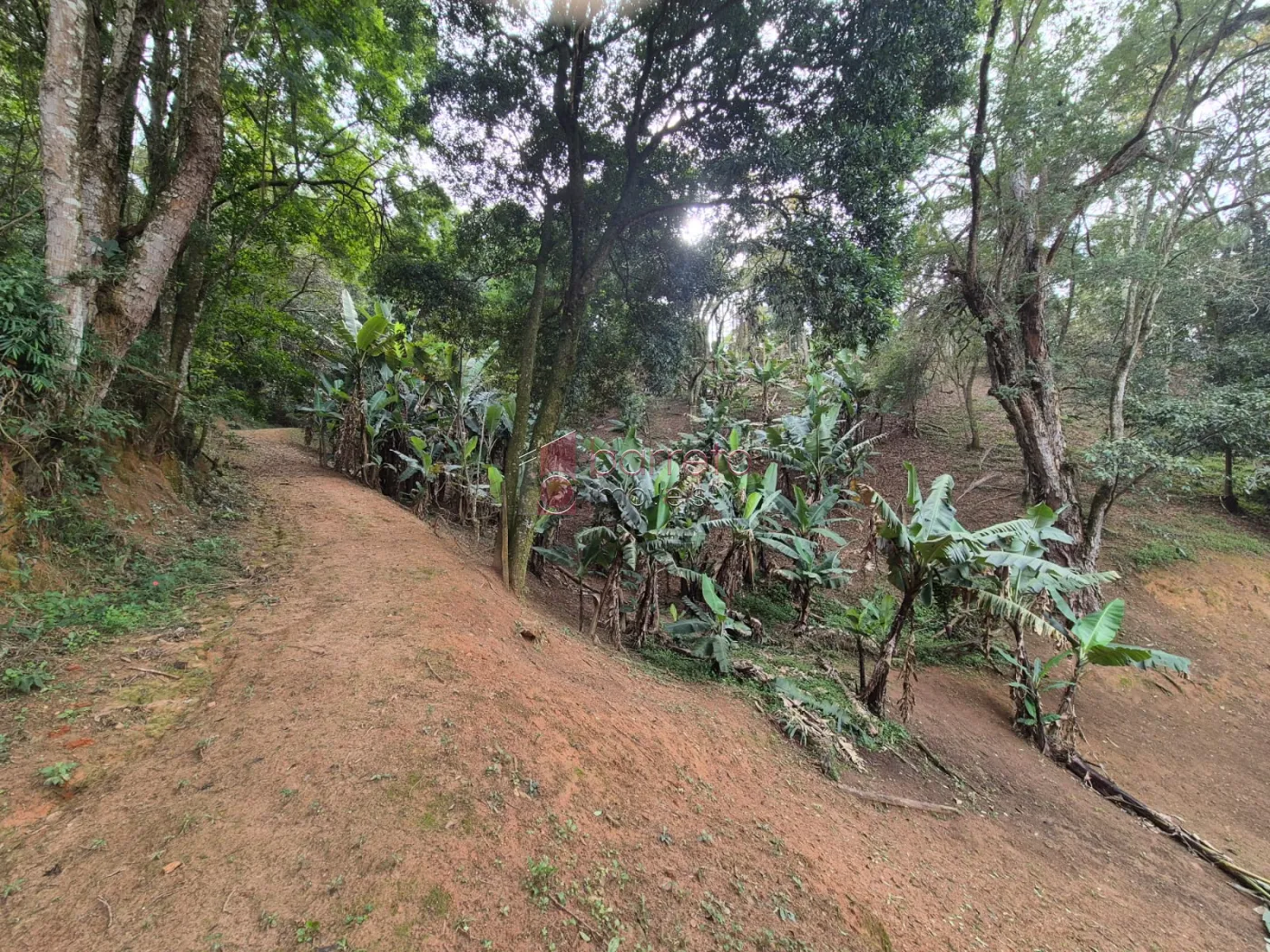 ÁREA RURAL PARA VENDA NO BAIRRO CAXAMBU – JUNDIAÍ/SP