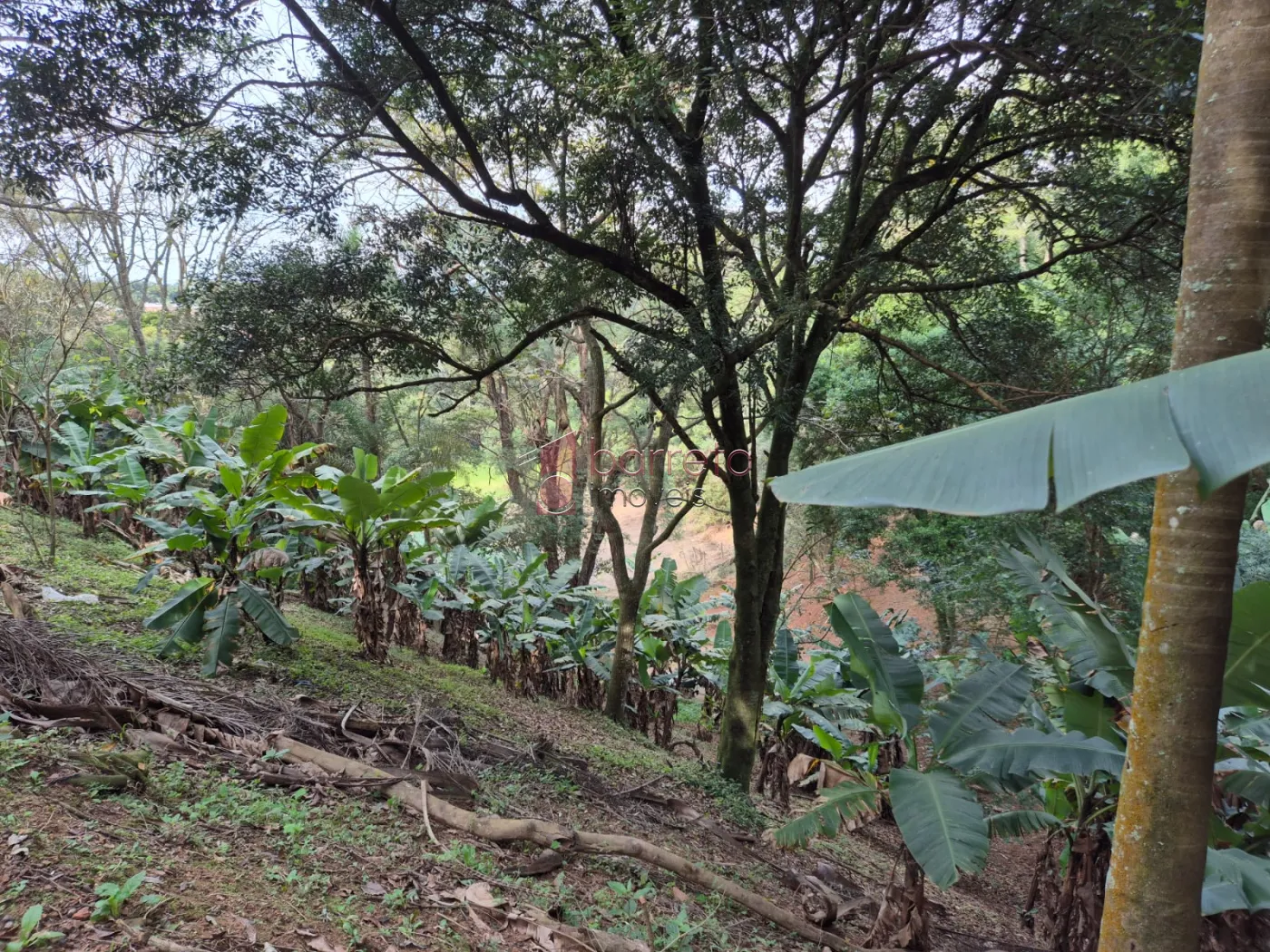 ÁREA RURAL PARA VENDA NO BAIRRO CAXAMBU – JUNDIAÍ/SP