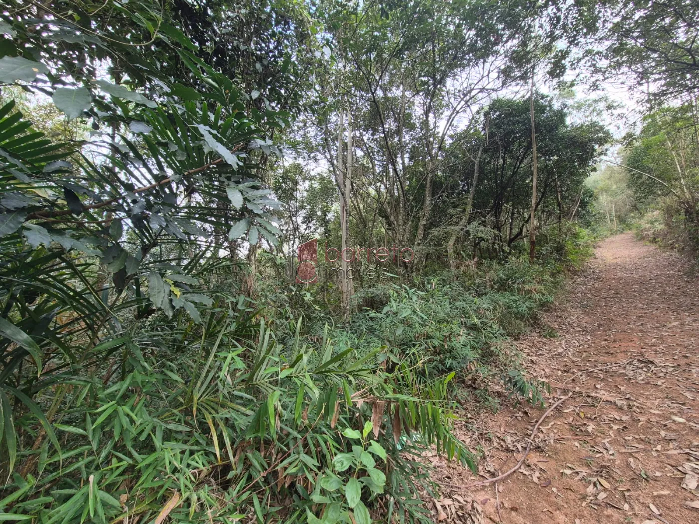 ÁREA RURAL PARA VENDA NO BAIRRO CAXAMBU – JUNDIAÍ/SP
