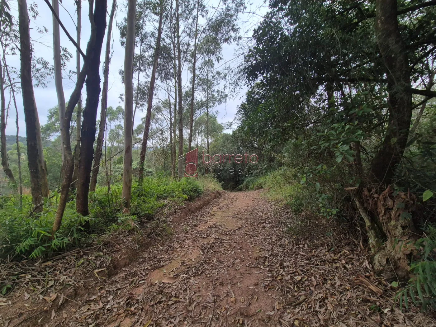 ÁREA RURAL PARA VENDA NO BAIRRO CAXAMBU – JUNDIAÍ/SP