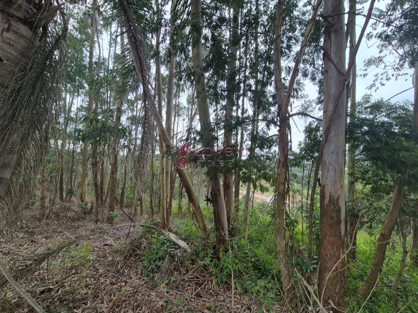 ÁREA RURAL PARA VENDA NO BAIRRO CAXAMBU – JUNDIAÍ/SP