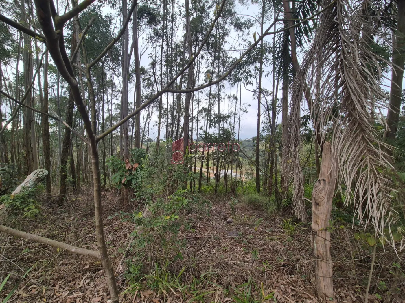 ÁREA RURAL PARA VENDA NO BAIRRO CAXAMBU – JUNDIAÍ/SP