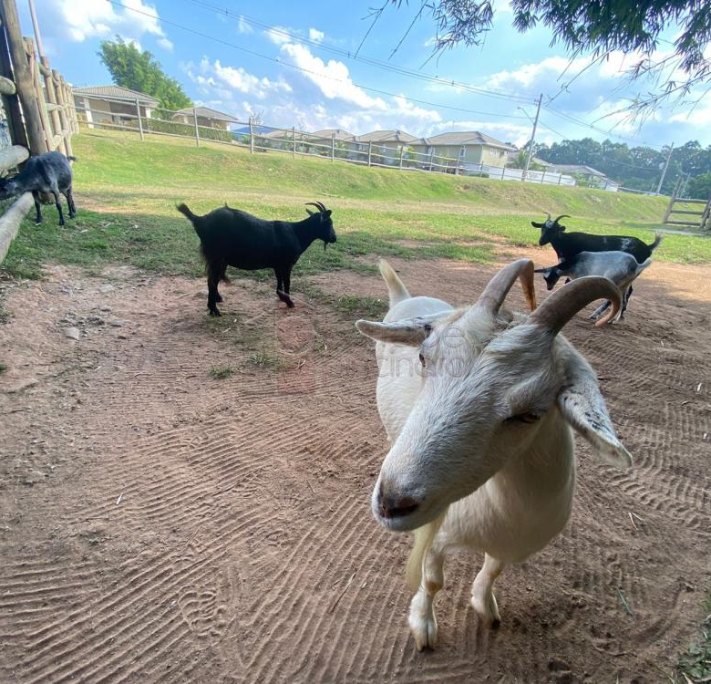 CASA SOBRADO À VENDA NO CONDOMÍNIO NATURE VILLAGE II – BAIRRO ELOY CHAVES – JUNDIAÍ/SP