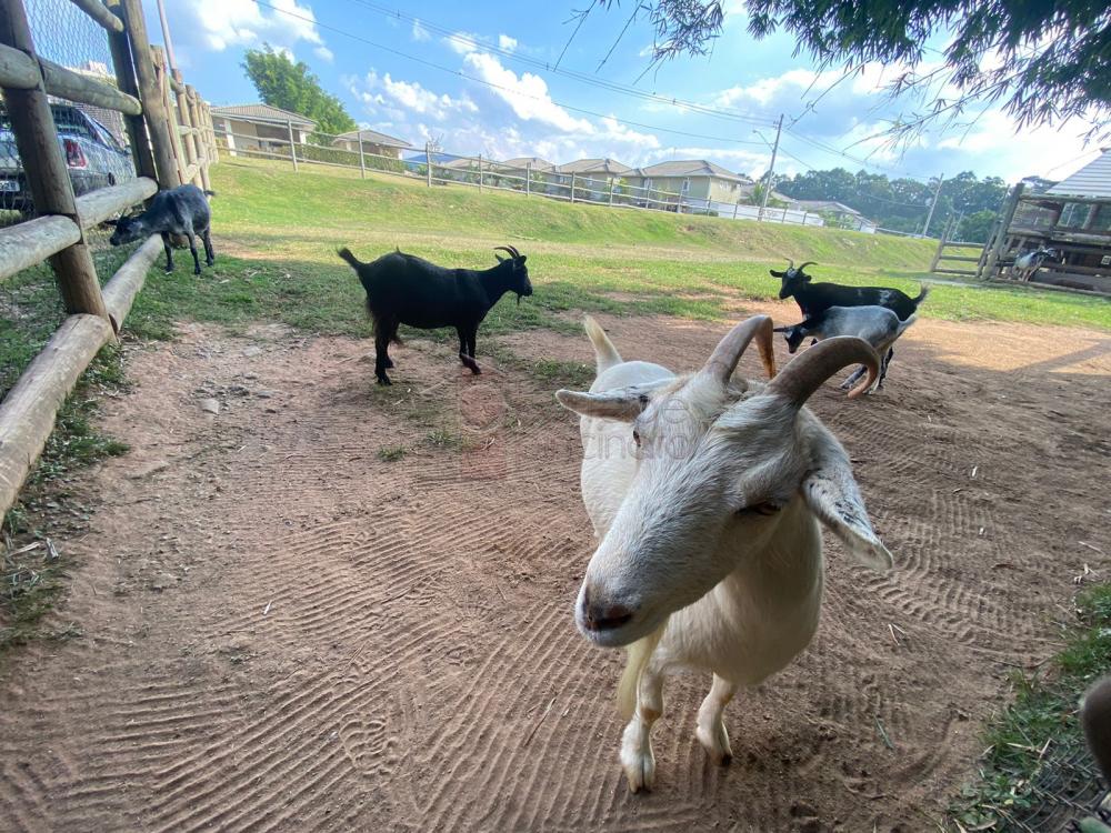 CASA SOBRADO À VENDA NO CONDOMÍNIO NATURE VILLAGE II – BAIRRO ELOY CHAVES – JUNDIAÍ/SP