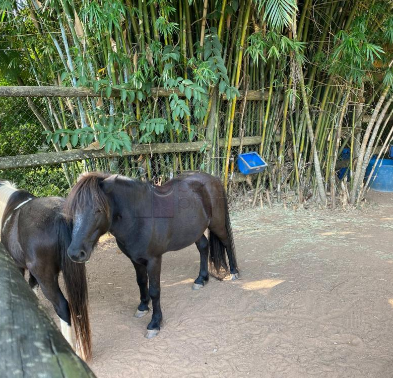 CASA SOBRADO À VENDA NO CONDOMÍNIO NATURE VILLAGE II – BAIRRO ELOY CHAVES – JUNDIAÍ/SP