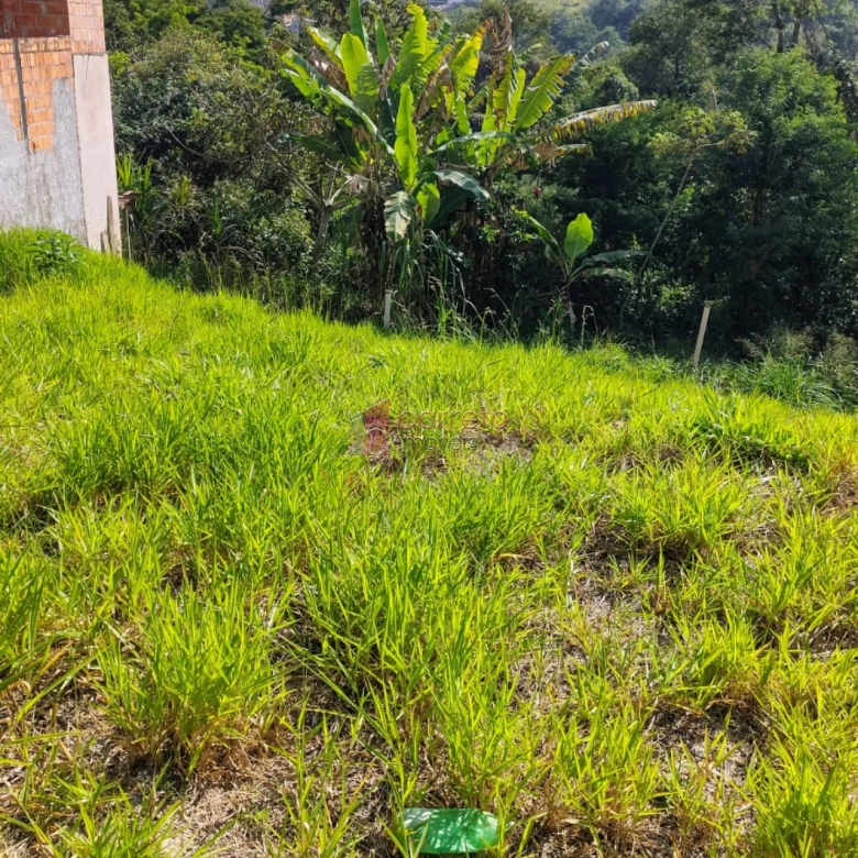 TERRENO COM 125 M² À VENDA NO JARDIM VALE VERDE EM JUNDIAÍ/SP