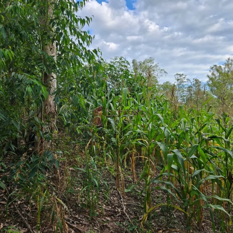 TERRENO À VENDA NO BAIRRO MONTERREY – LOTEAMENTO MONTERREY – LOUVEIRA/SP