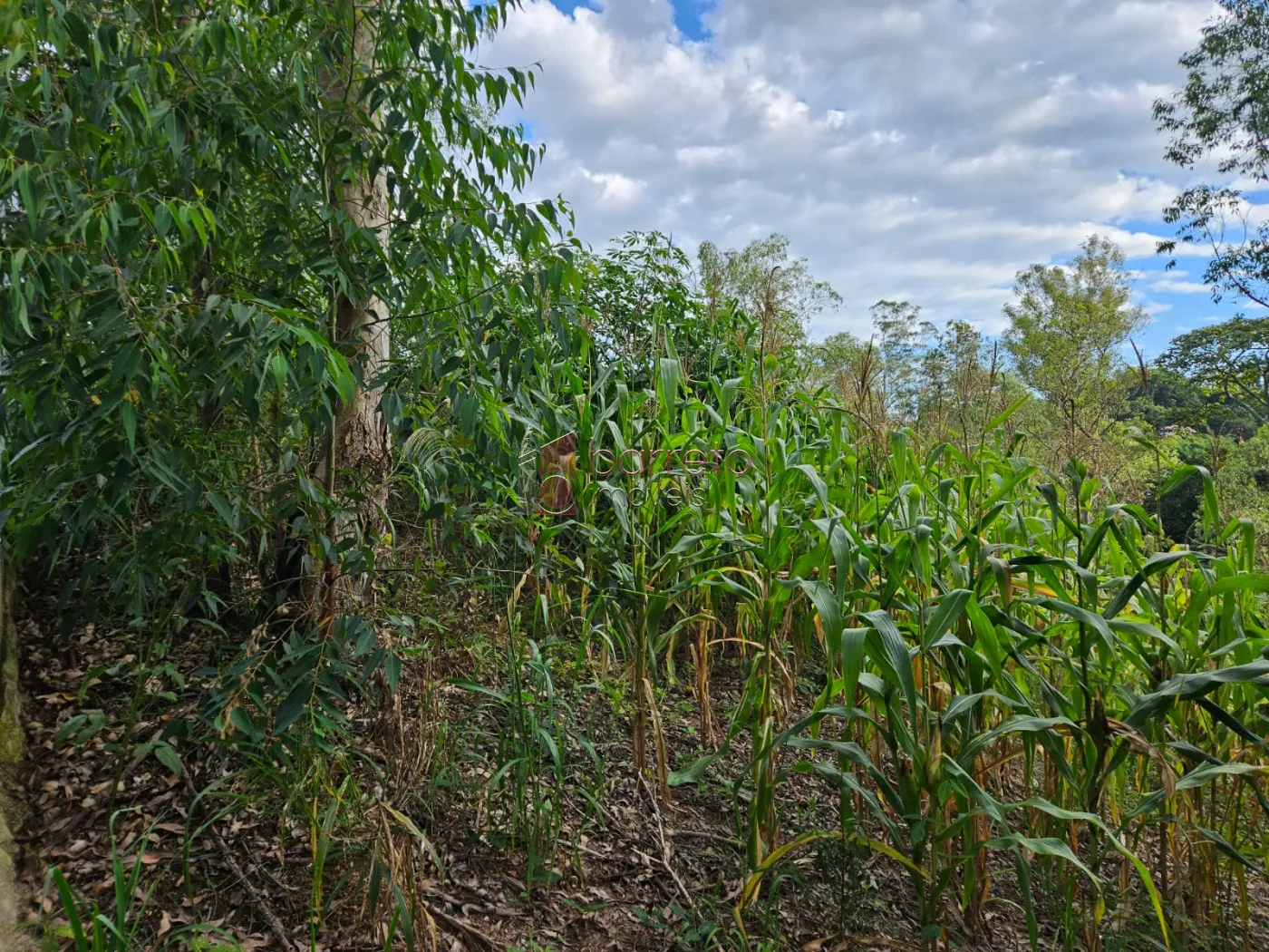 TERRENO À VENDA NO BAIRRO MONTERREY – LOTEAMENTO MONTERREY – LOUVEIRA/SP