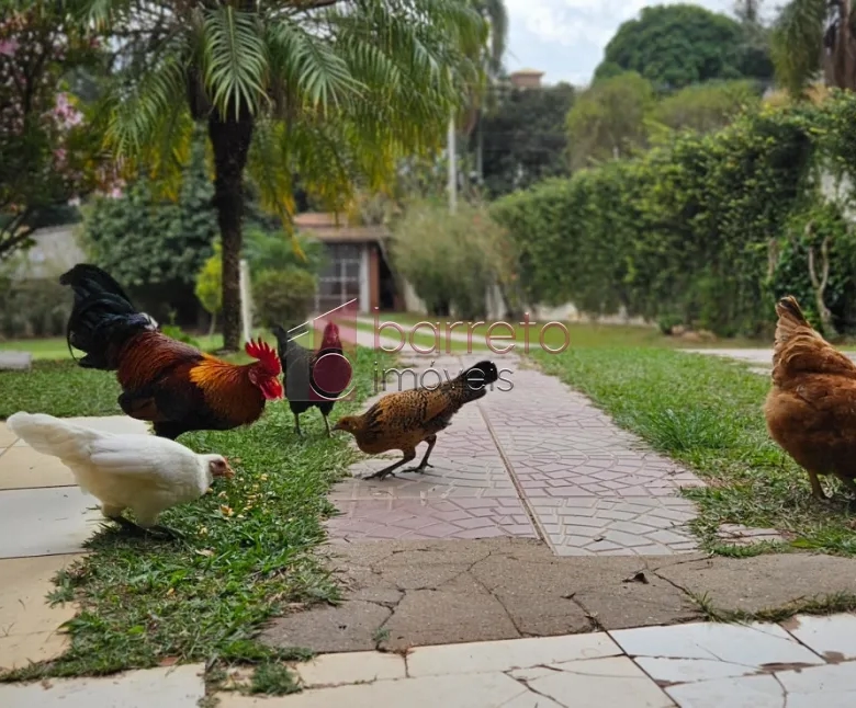 CHÁCARA À VENDA EM CAMPO LIMPO PAULISTA/SP