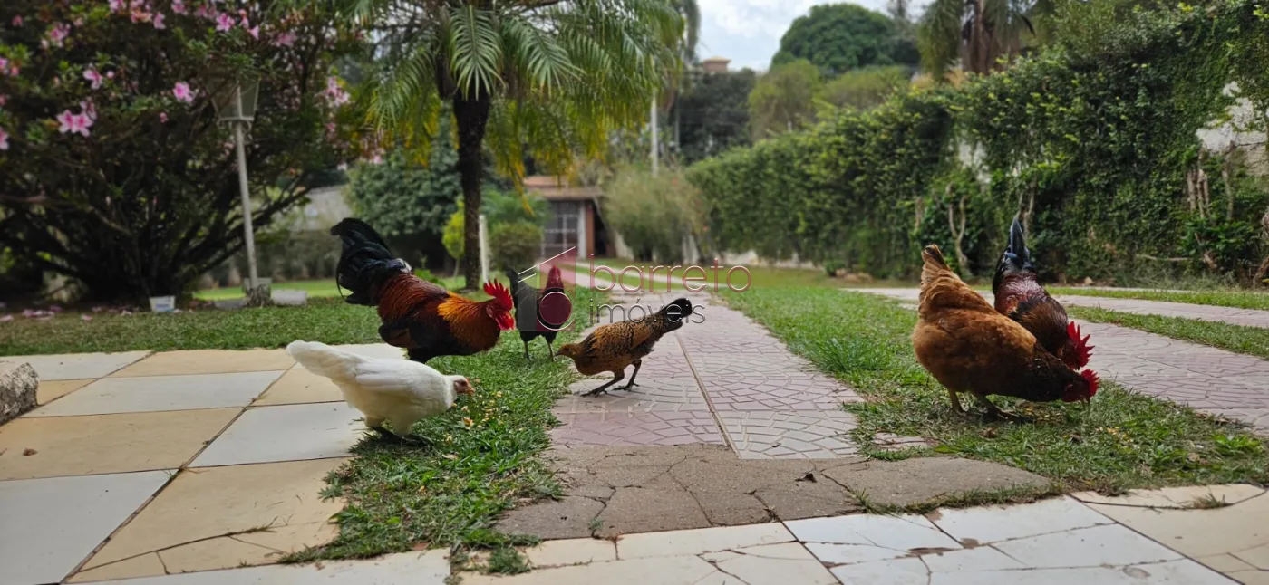 CHÁCARA À VENDA EM CAMPO LIMPO PAULISTA/SP