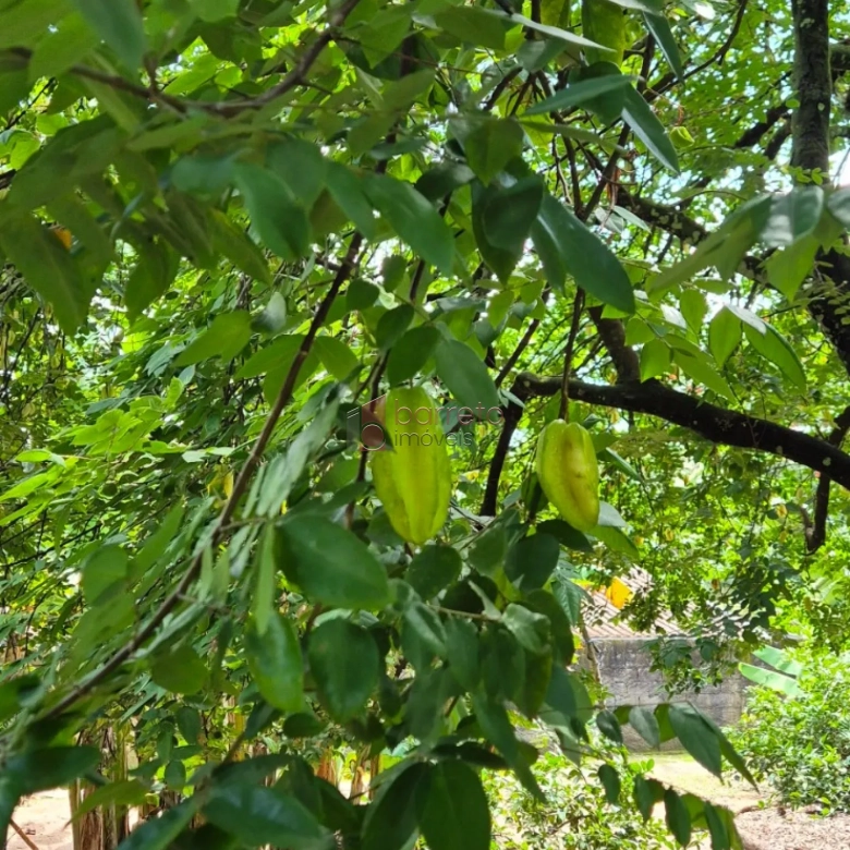 CHÁCARA À VENDA EM CAMPO LIMPO PAULISTA/SP