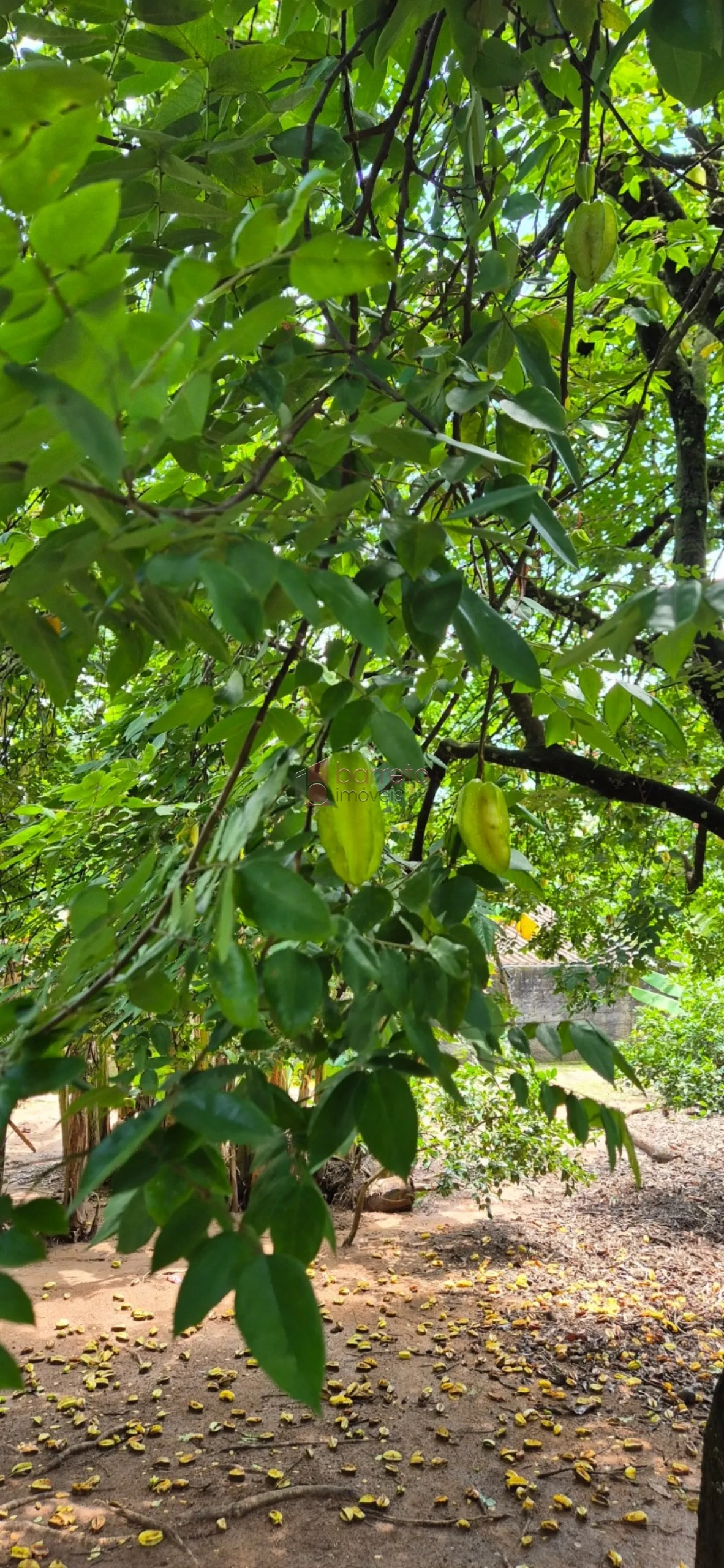 CHÁCARA À VENDA EM CAMPO LIMPO PAULISTA/SP