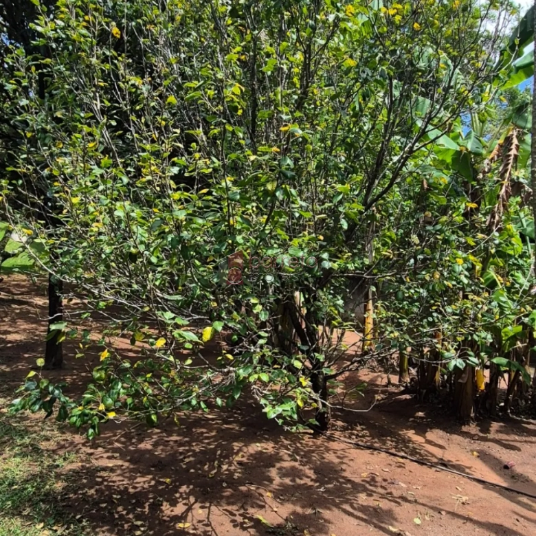 CHÁCARA À VENDA EM CAMPO LIMPO PAULISTA/SP