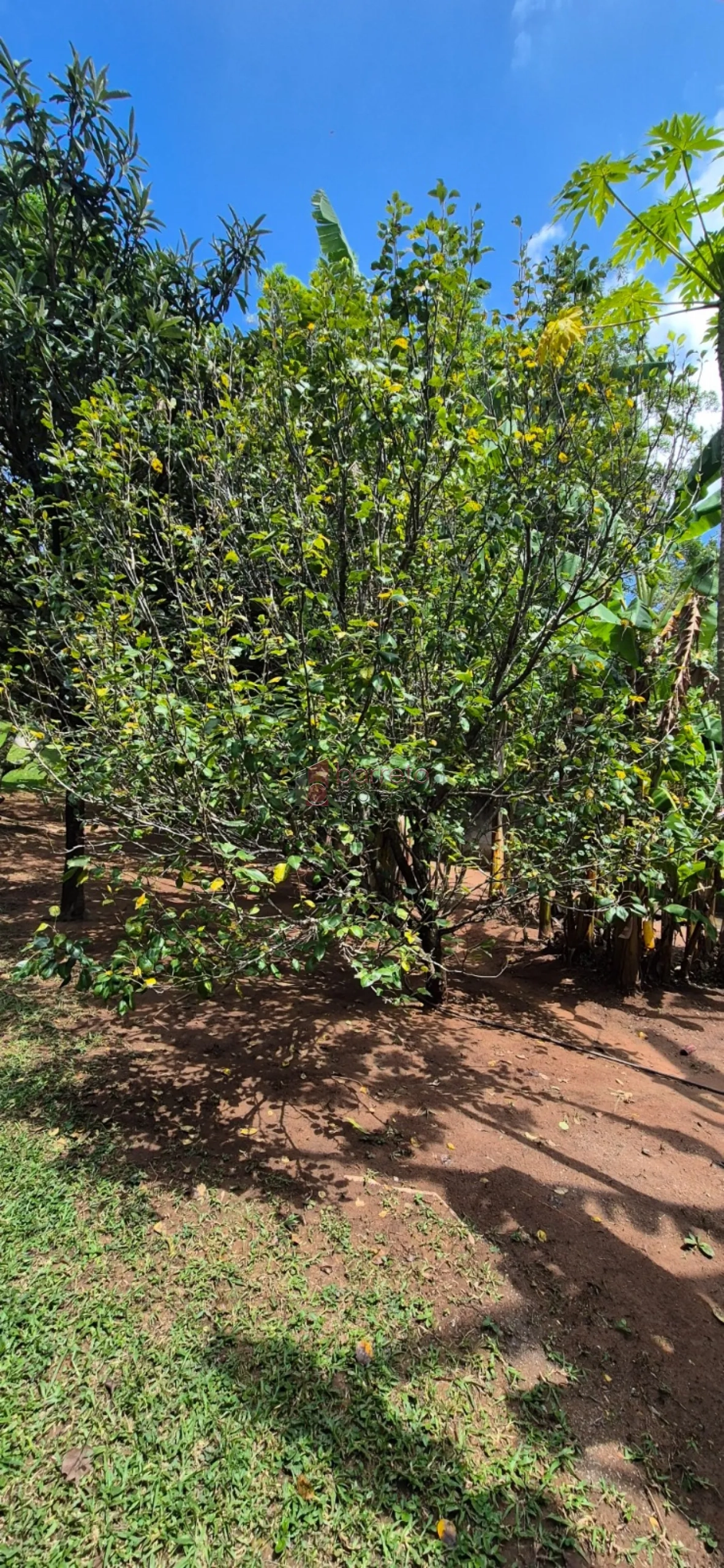 CHÁCARA À VENDA EM CAMPO LIMPO PAULISTA/SP