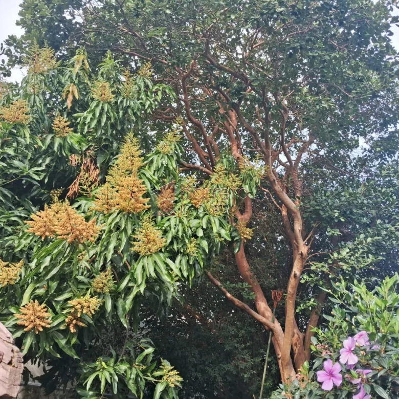 CASA À VENDA NA VILA HELENA EM JUNDIAÍ/SP