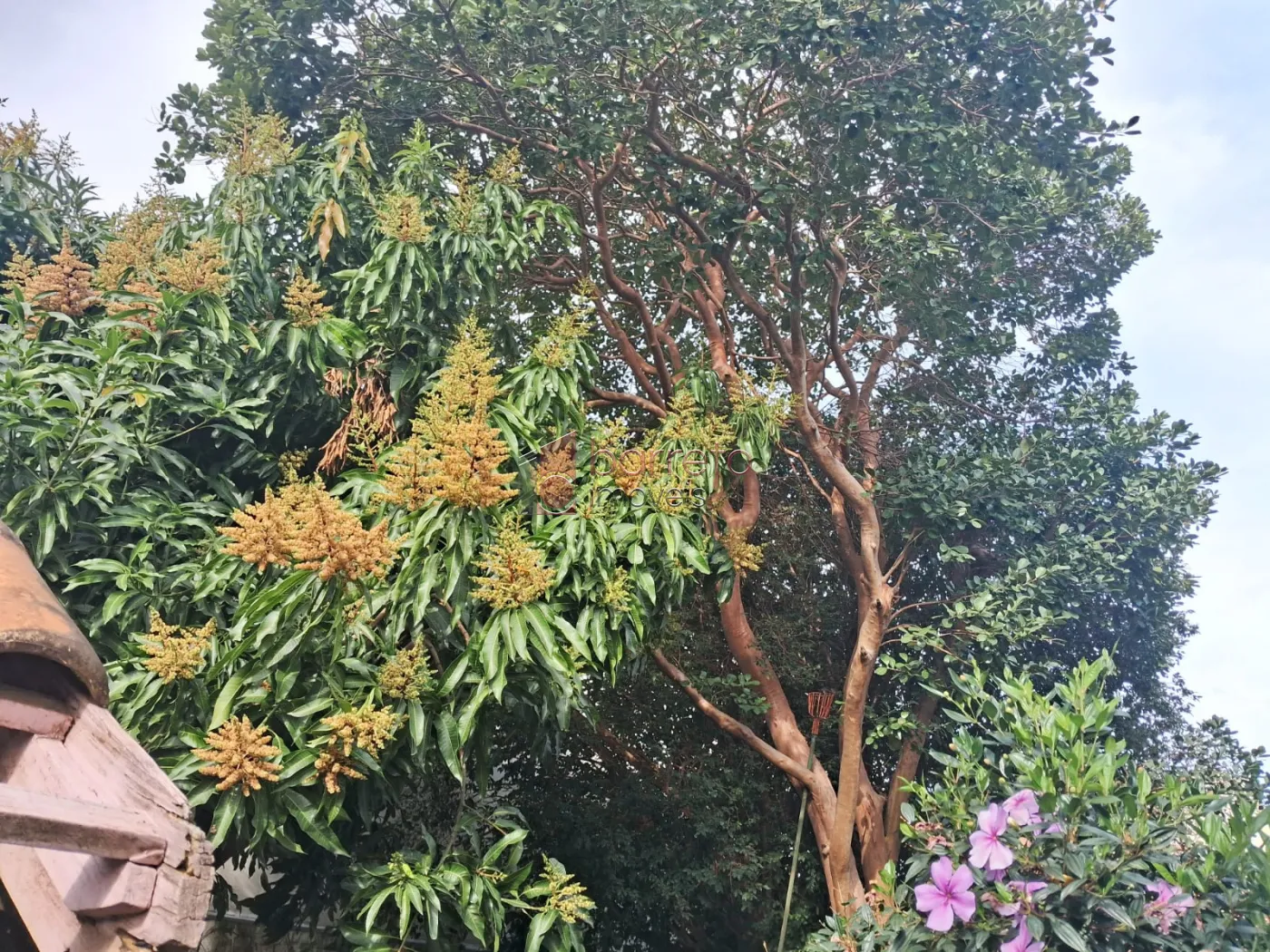 CASA À VENDA NA VILA HELENA EM JUNDIAÍ/SP