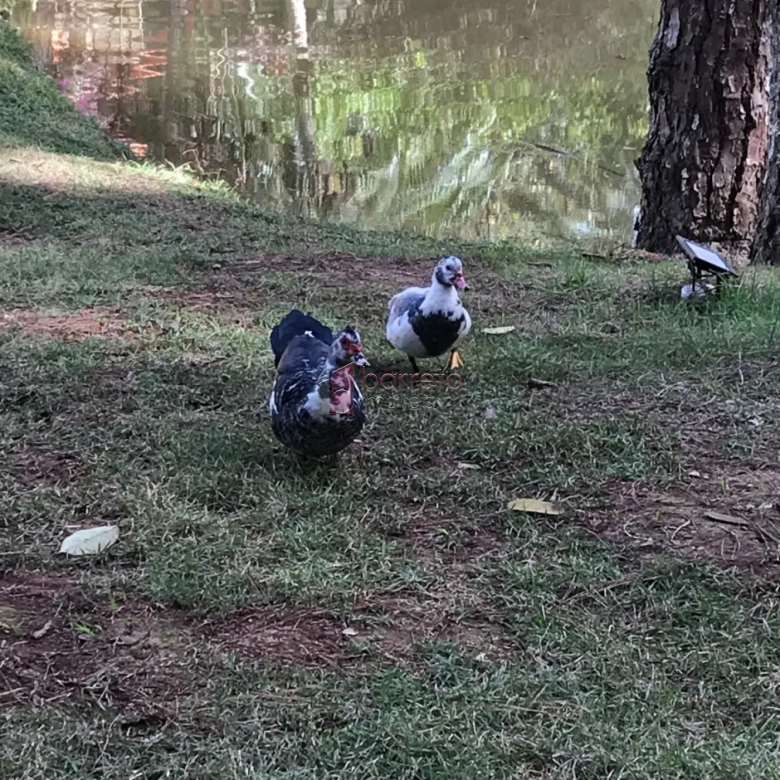 TERRENO À VENDA NO CONDOMÍNIO CAPITAL VILLE I EM CAJAMAR/SP