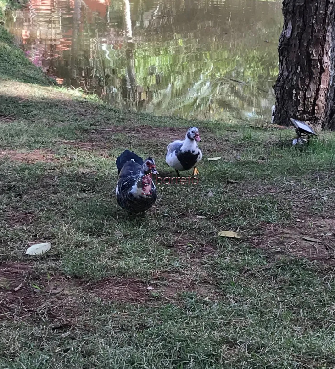 TERRENO À VENDA NO CONDOMÍNIO CAPITAL VILLE I EM CAJAMAR/SP