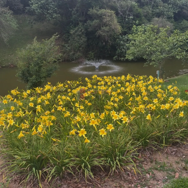 TERRENO À VENDA NO CONDOMÍNIO CAPITAL VILLE I EM CAJAMAR/SP