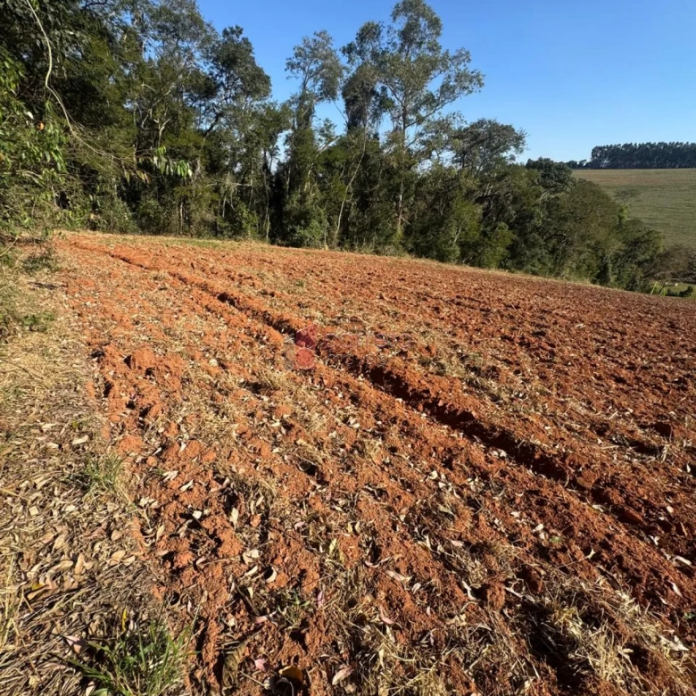 SÍTIO À VENDA NO BAIRRO PITANGAL EM JARINU/SP