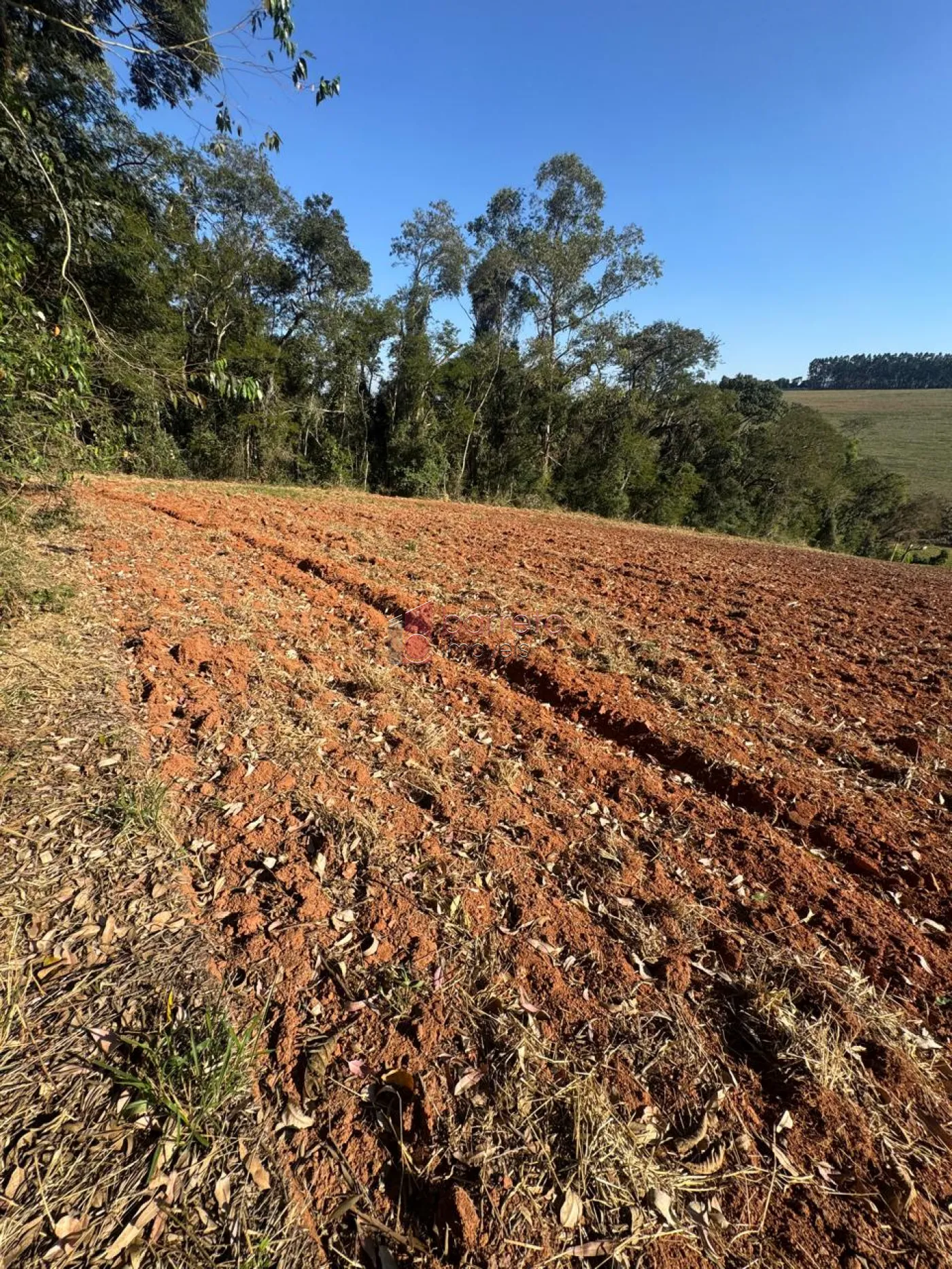SÍTIO À VENDA NO BAIRRO PITANGAL EM JARINU/SP