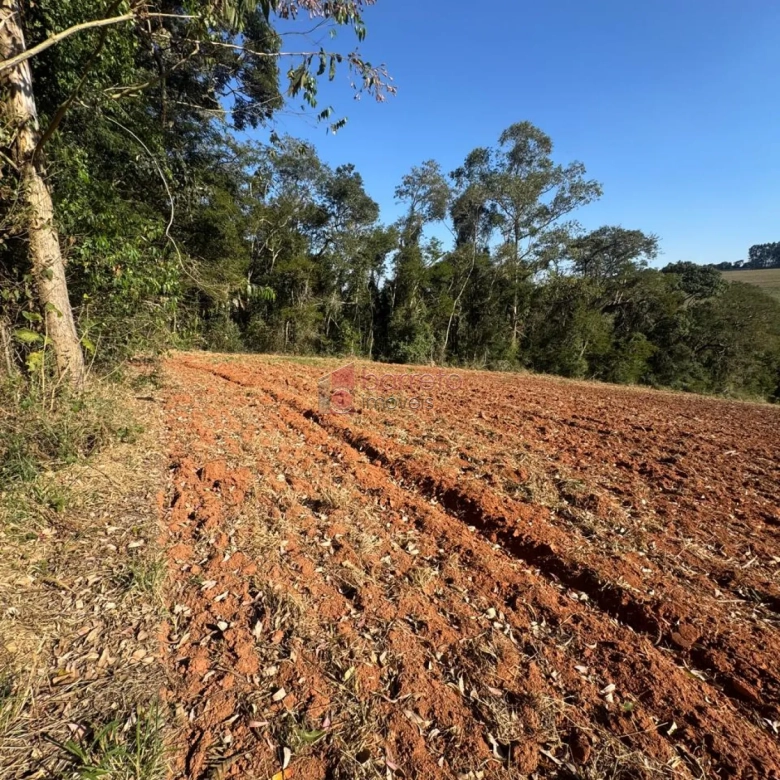 SÍTIO À VENDA NO BAIRRO PITANGAL EM JARINU/SP