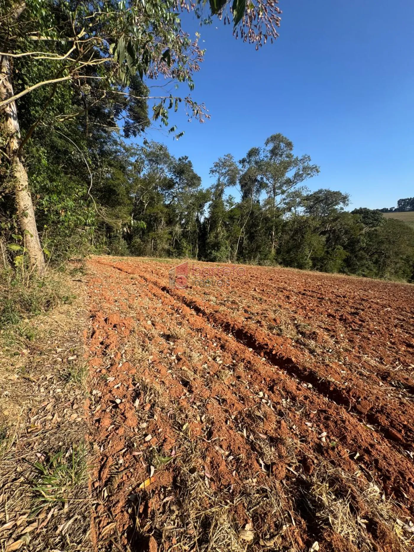 SÍTIO À VENDA NO BAIRRO PITANGAL EM JARINU/SP