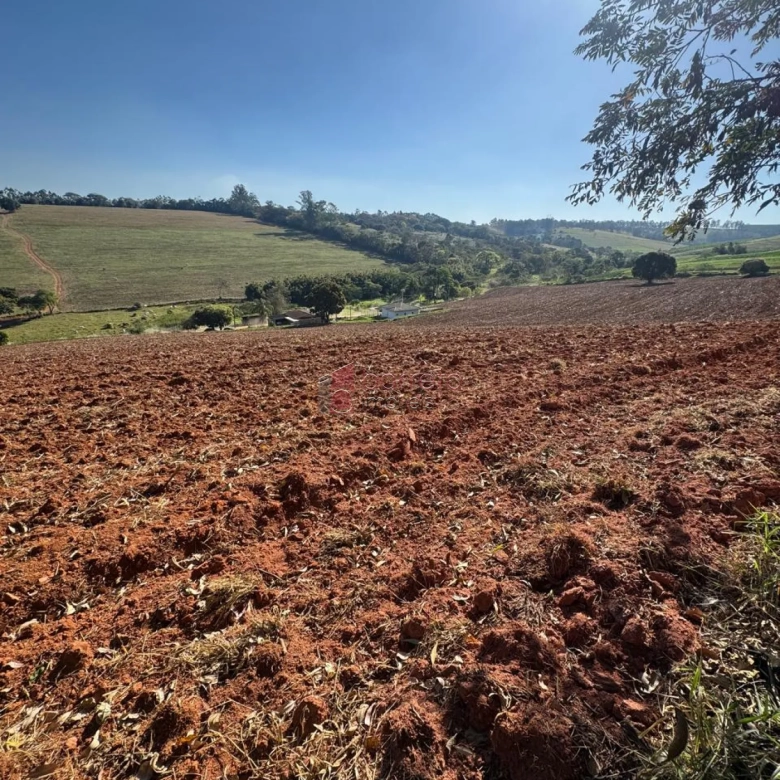 SÍTIO À VENDA NO BAIRRO PITANGAL EM JARINU/SP