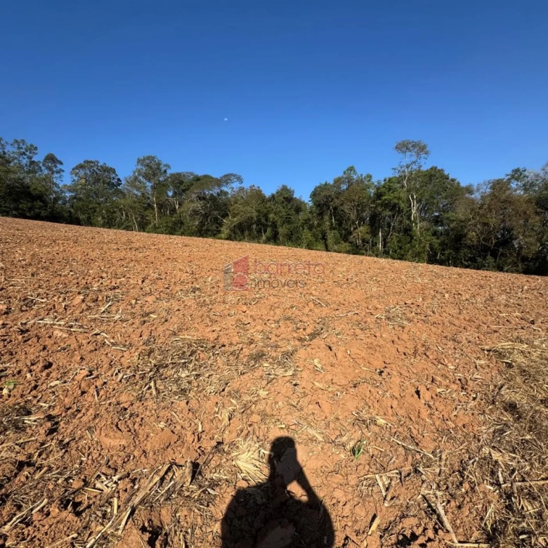 SÍTIO À VENDA NO BAIRRO PITANGAL EM JARINU/SP